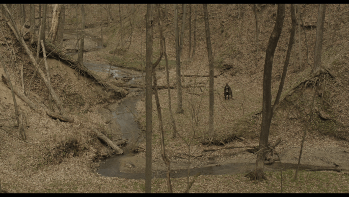 vlcsnap-2016-11-08-20h02m14s483