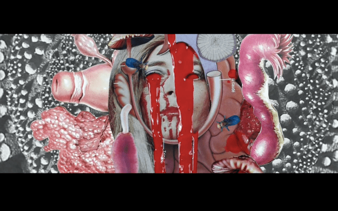 Screen Shot 2017-07-22 at 11.26.52 PM.png