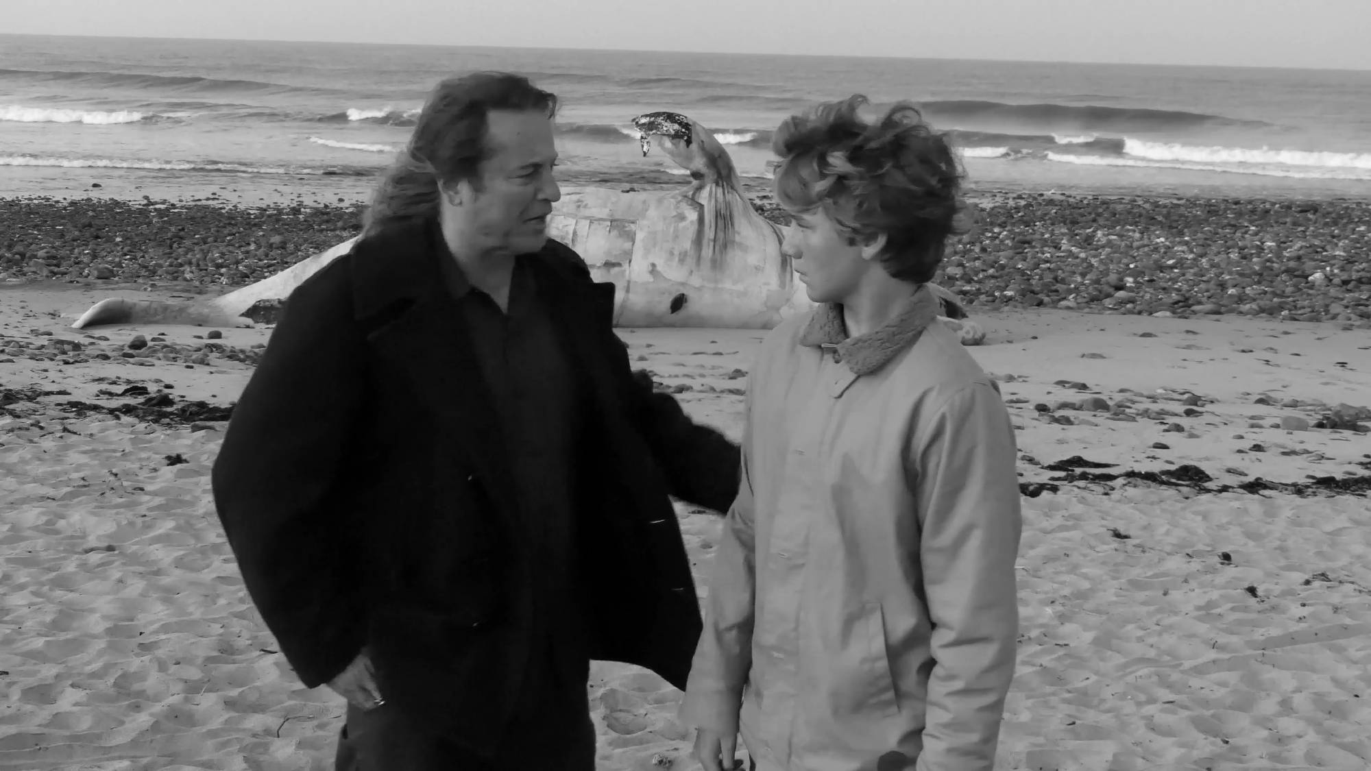 5-dead-whale-2000x1125