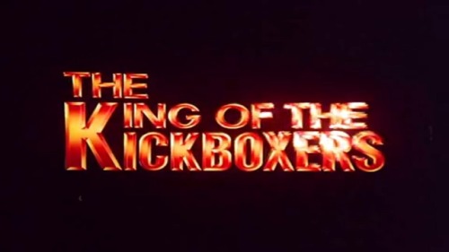 tumblr_inline_oa00nnyg4V1u8tkkb_500